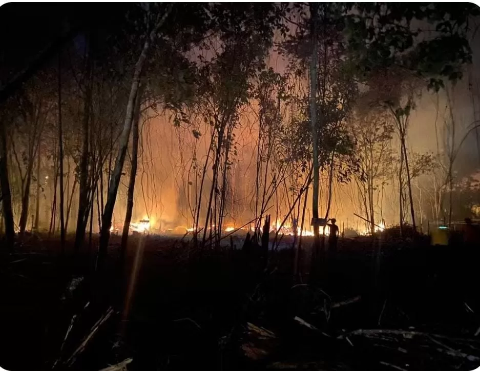 Incêndio de grandes proporções destrói área de mata no Amazonas