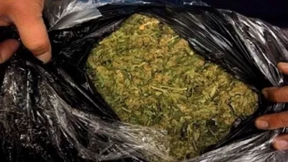Polícia Militar do Amazonas apreende aproximadamente 1,5 tonelada de maconha tipo skunk