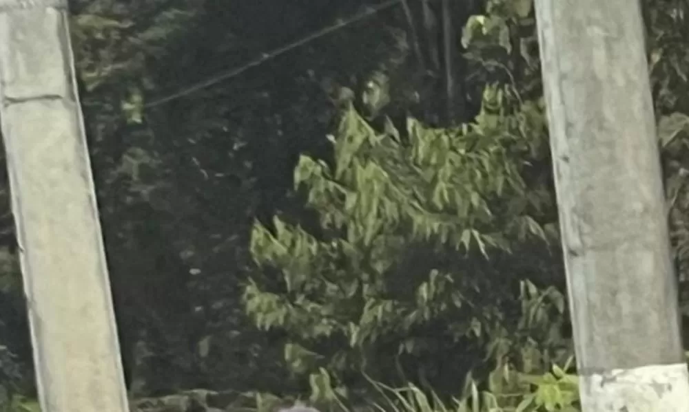 Urgente: c0rpo é encontrado na Estrada do Aeroporto em Manaus