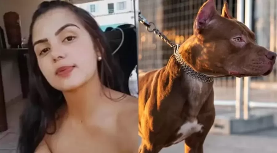 Mulher morre após ataque brutal de cão da raça Pitbull dentro de casa.