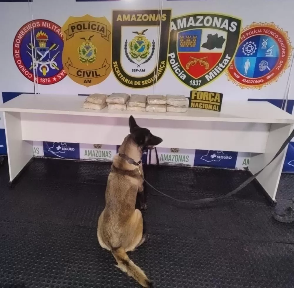 Base Arpão 3: Cadela Ágata auxilia na localização de entorpecentes escondidos no forro de uma geladeira