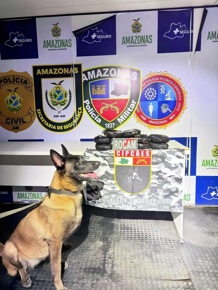 PM apreende 12 quilos de drogas em embarcação no interior do Amazonas